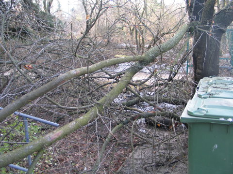 A kertet mindenfelé leszakadt ágak borítják