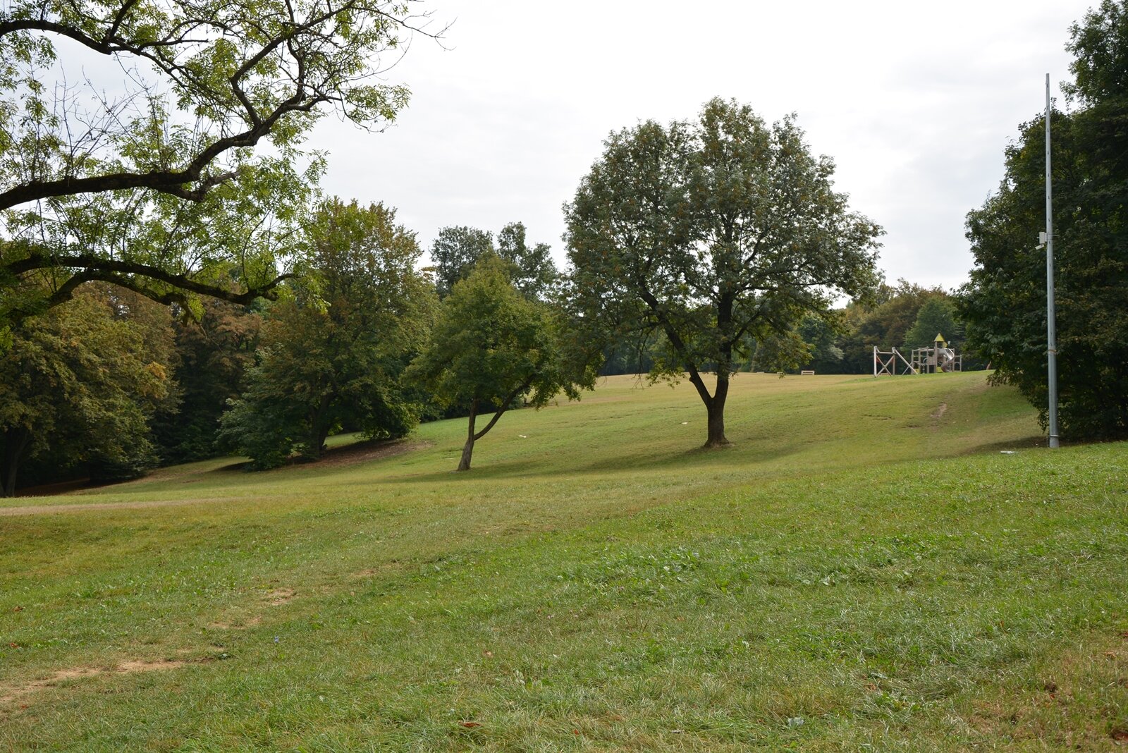 Szép zöld a fű a szánkópályán