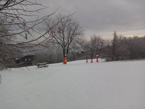 IMG-20190109-075043.jpg