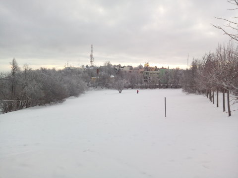 IMG-20190109-075053.jpg
