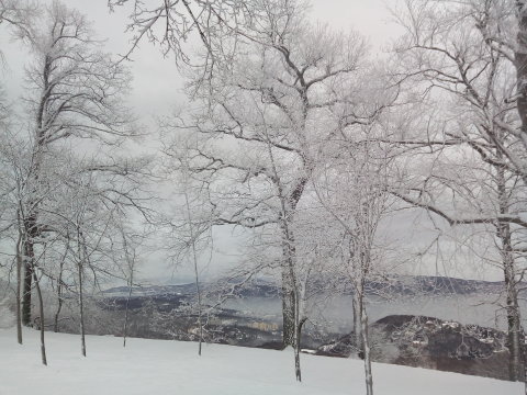 IMG-20190109-075120.jpg