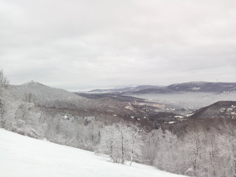IMG-20190109-075218.jpg