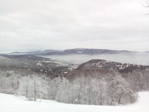IMG-20190109-075225.jpg