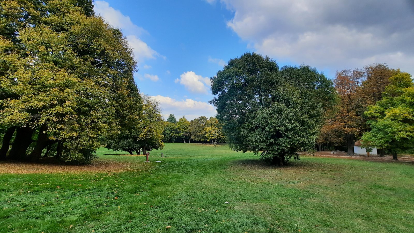 Az Anna-rét eddig is a sífutók kedvenc helye volt. Itt lesz a hóágyúzott, kivilágított sífutópálya.