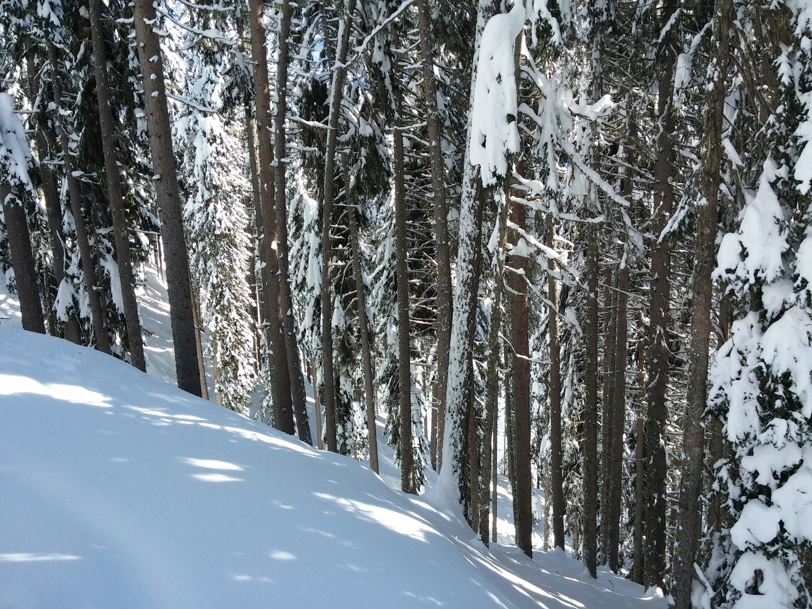 Ez is a liftből készült