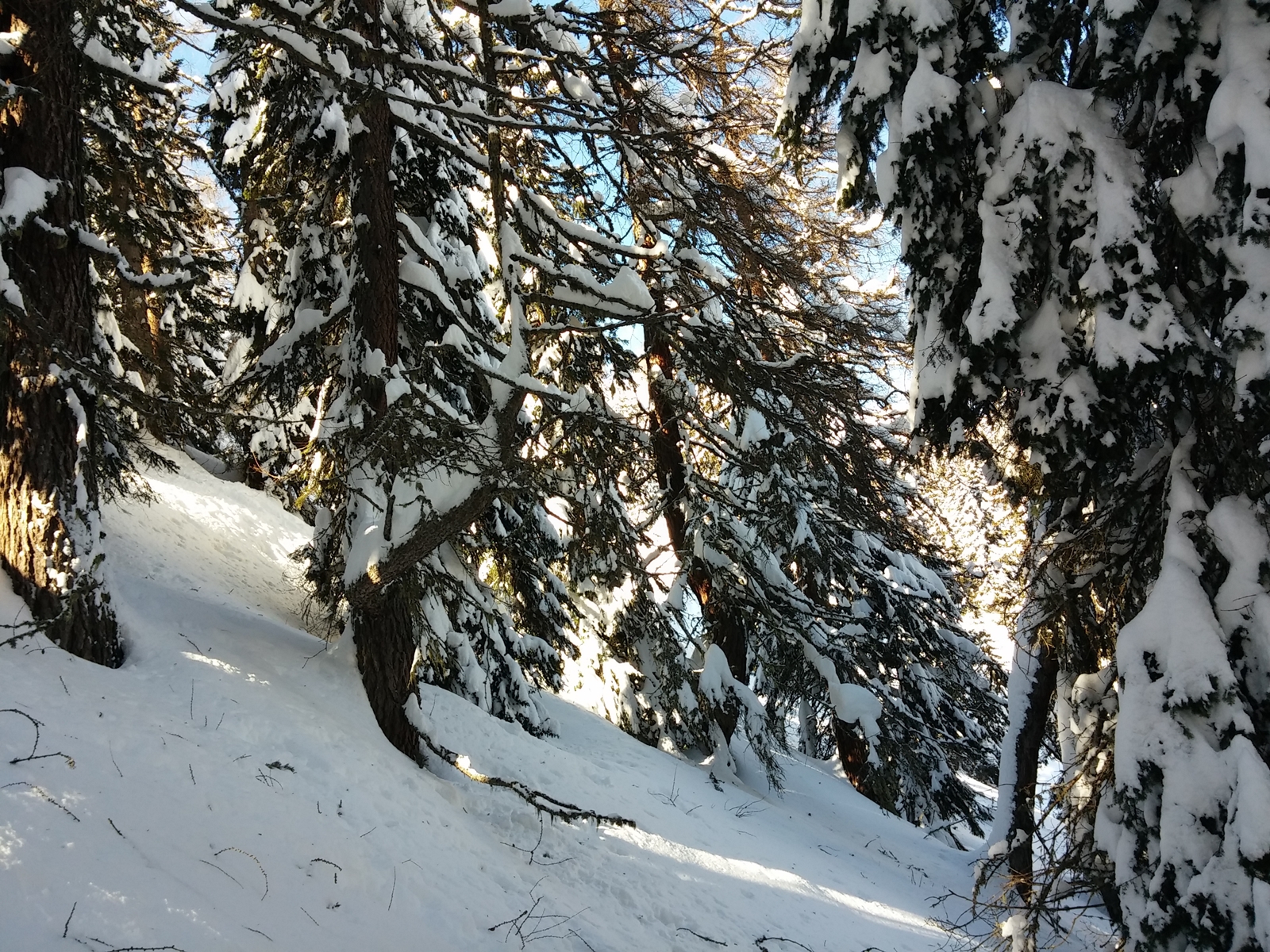 De ahol van meredeksége, ott már élvezetes