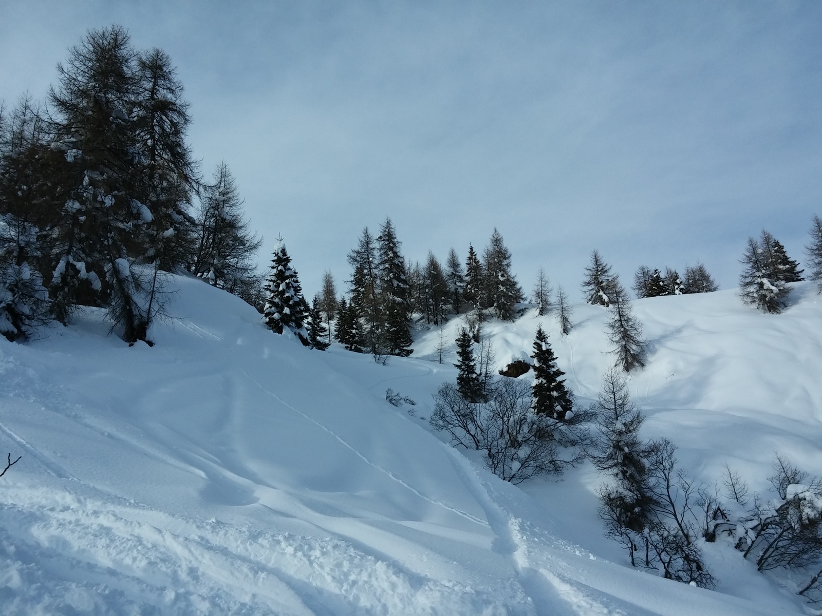 Igen, jó is volt. De közben nem álltam meg fényképezni :-)