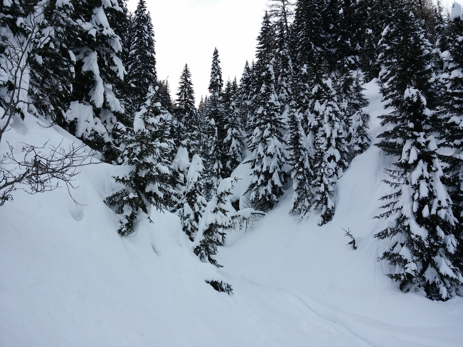 Ez itt az érkező. Szerencsére van itt egy erdészeti út, ami végig lejt és a szánkópályában folytatódik.