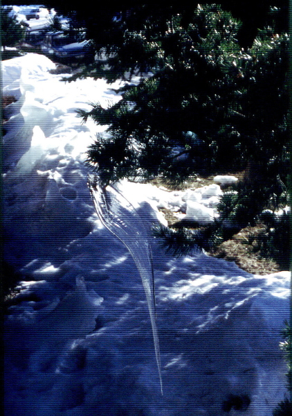 A természet "művészete"