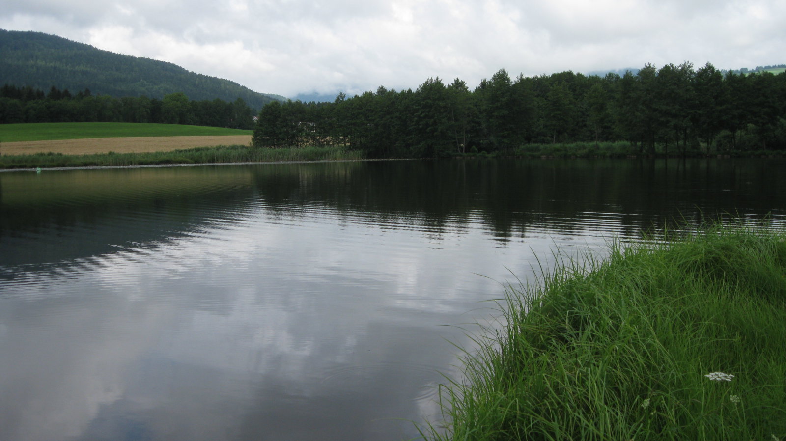 IMG-0851.JPG
