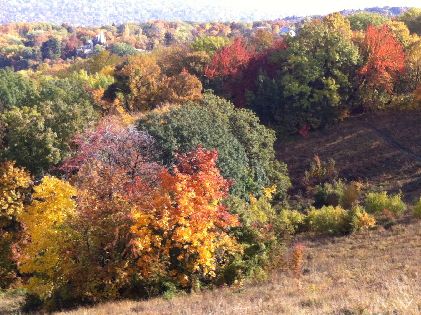 színkavalkád közelebb