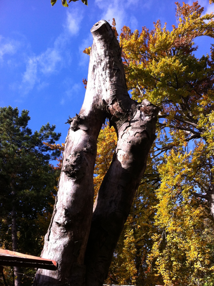 kérek egy rétest! :)