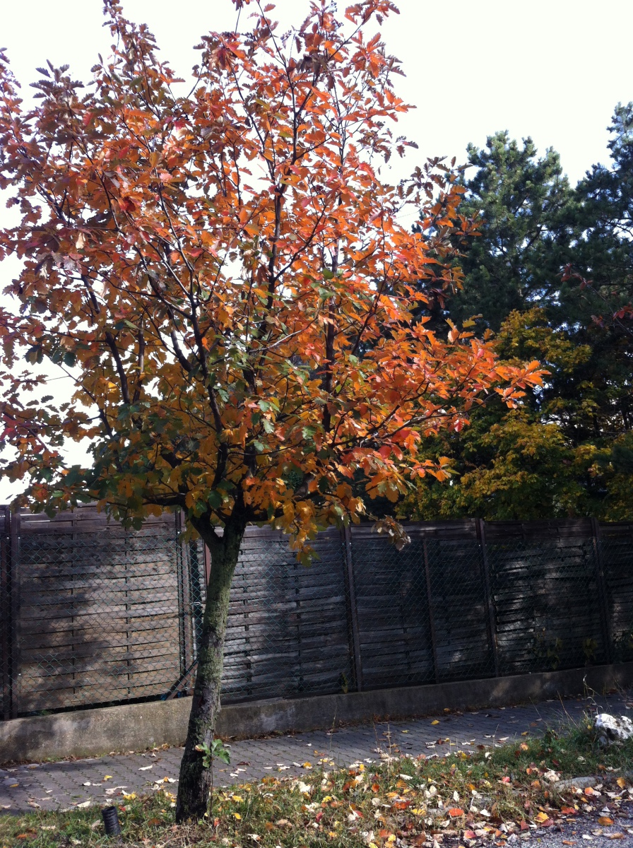 a kicsik is tudják mi a rend :)