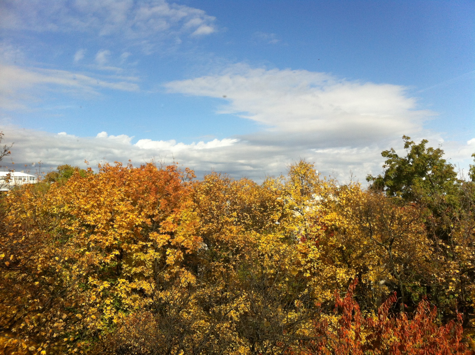 színek: fehér ház