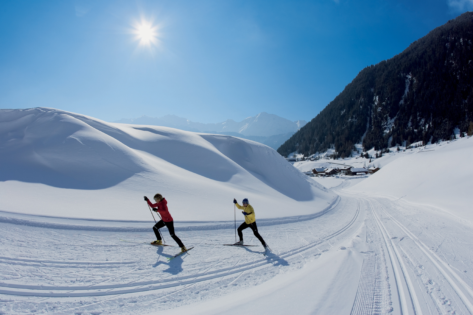 Sífutók (fotó: Bernd Ritschel)