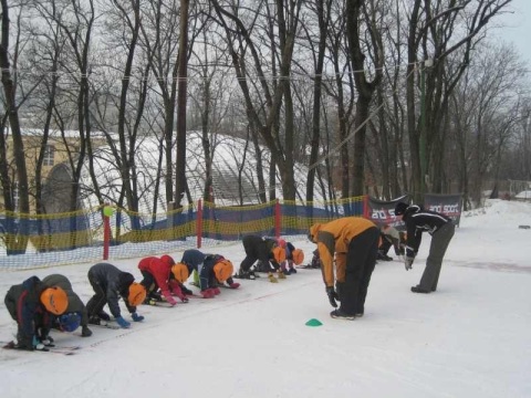 pasareti.jpg