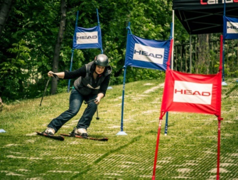vasas-pasaret-sikupa-8.jpg