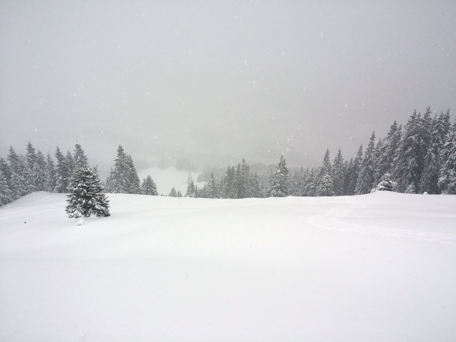 Nem hibátlan a terep, mert sok a lankás rész