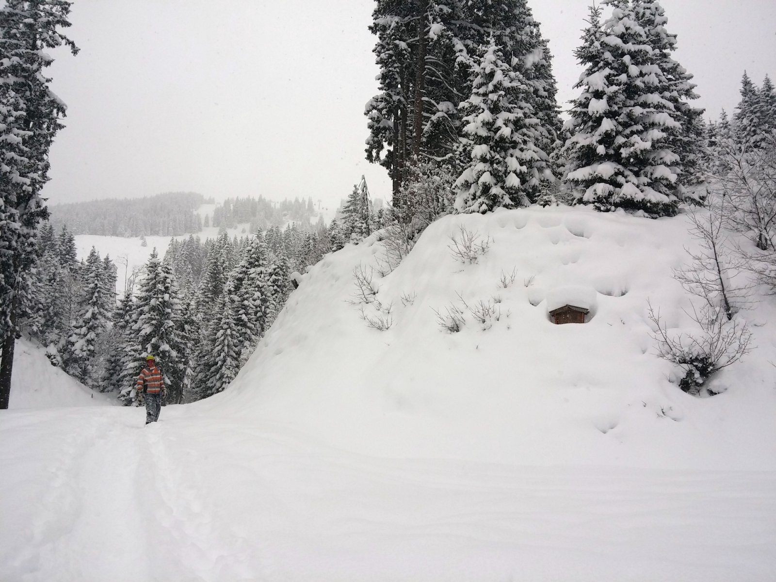 Sikerült rábeszélnünk Endrut is