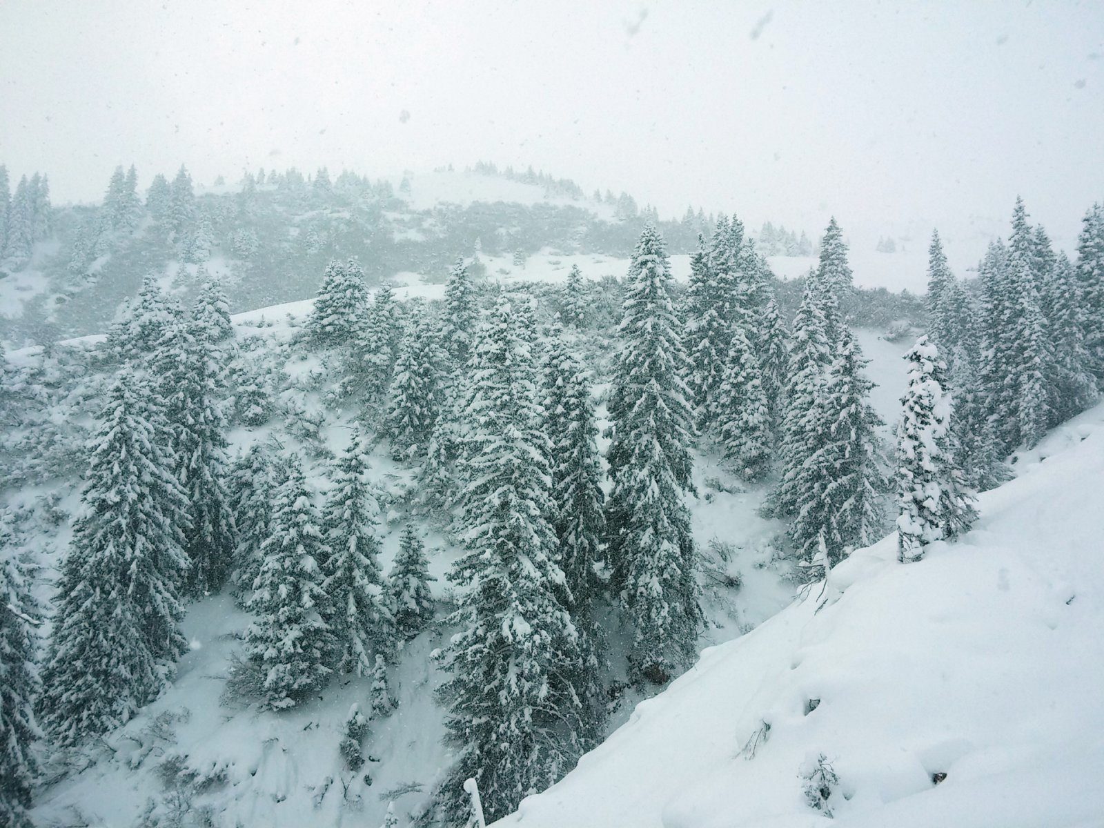 Az ilyen patakvölgybe érdemes nem belekerülni