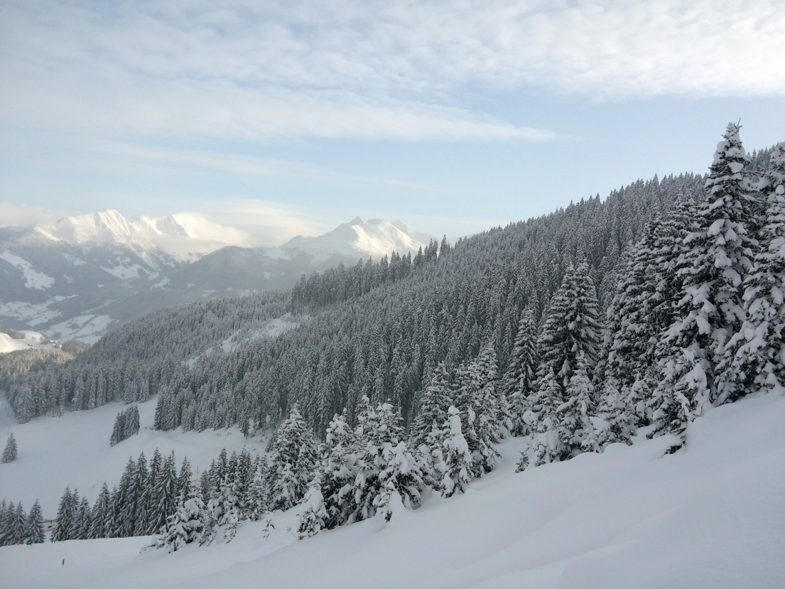 A Resterhöhe alsó része, balra a sípálya egy szakasza látható