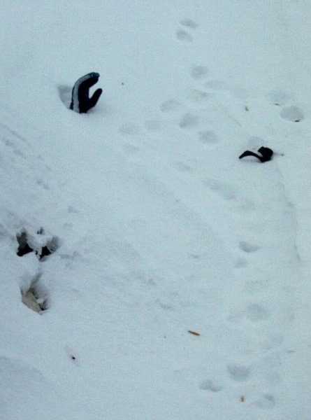 Valaki van a hó alatt?