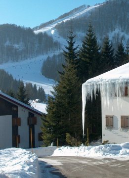 Csak egy napig bírta ki az önsulyát