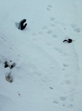 Valaki van a hó alatt?