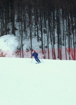 Sauc pálya közepén