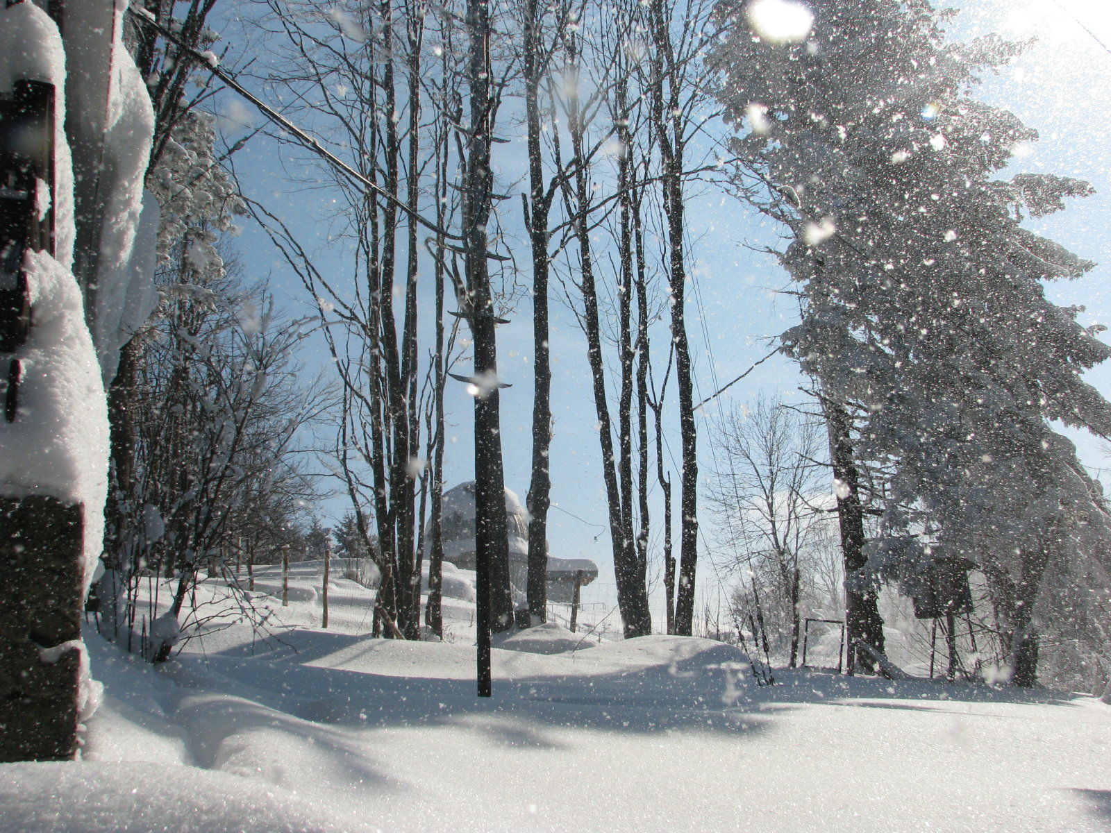 A csillagvizsgáló mellett