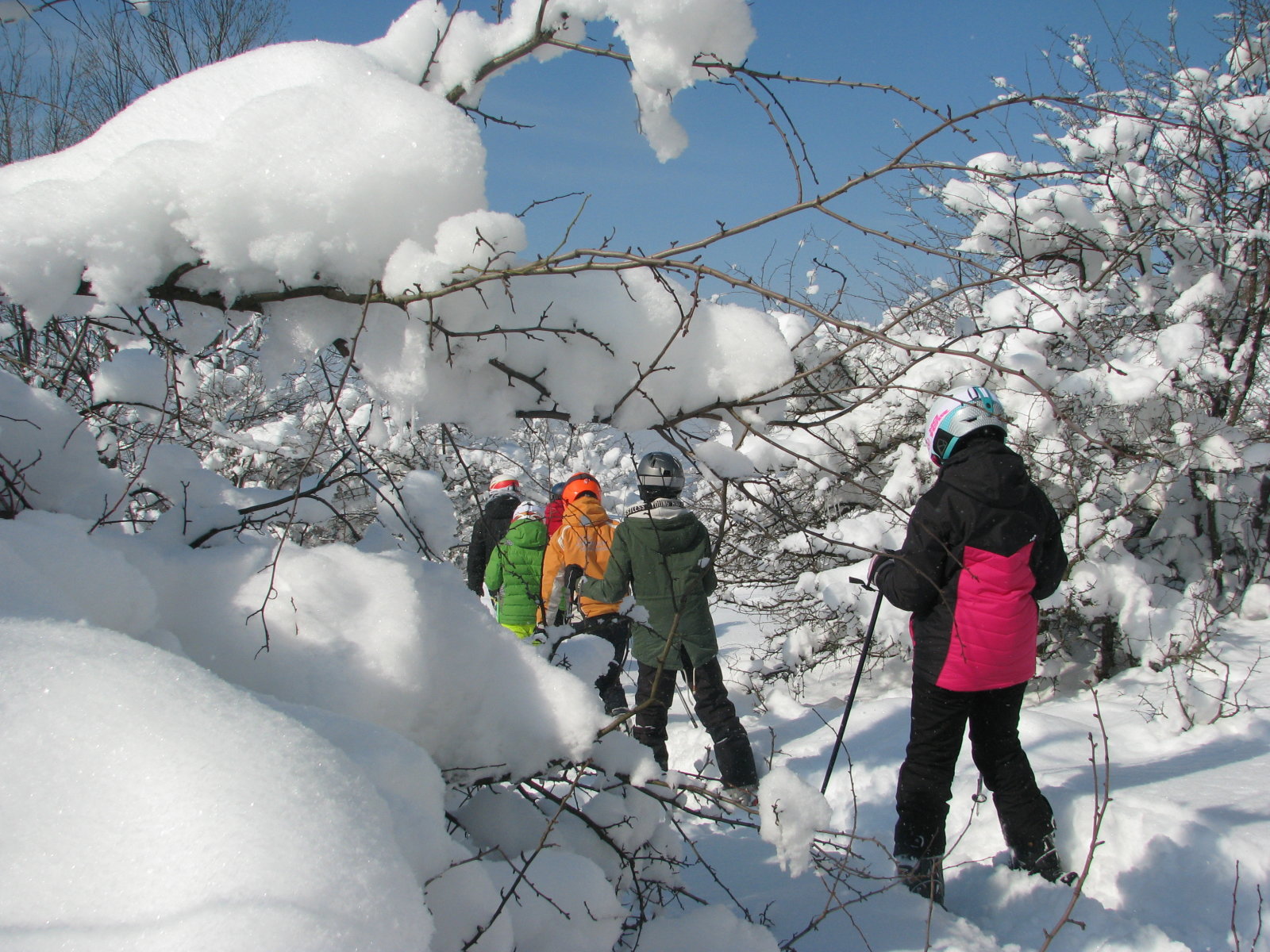 Piszkés-tető - Mátraszentlászló lesiklás, 2018. febr. 28-án.  Mínusz -17 fok és Hóvarázslat | Fotó: Fehér Gyula