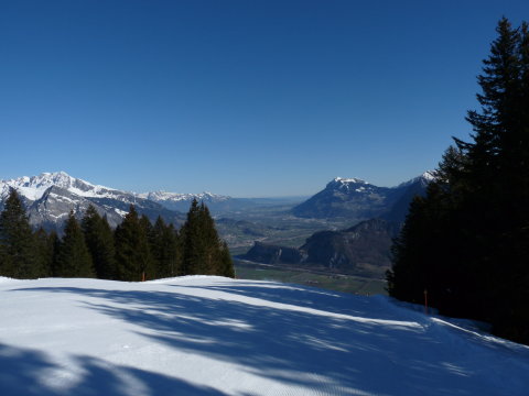 ismét a Rajna völgye erdőben vezető sípályán