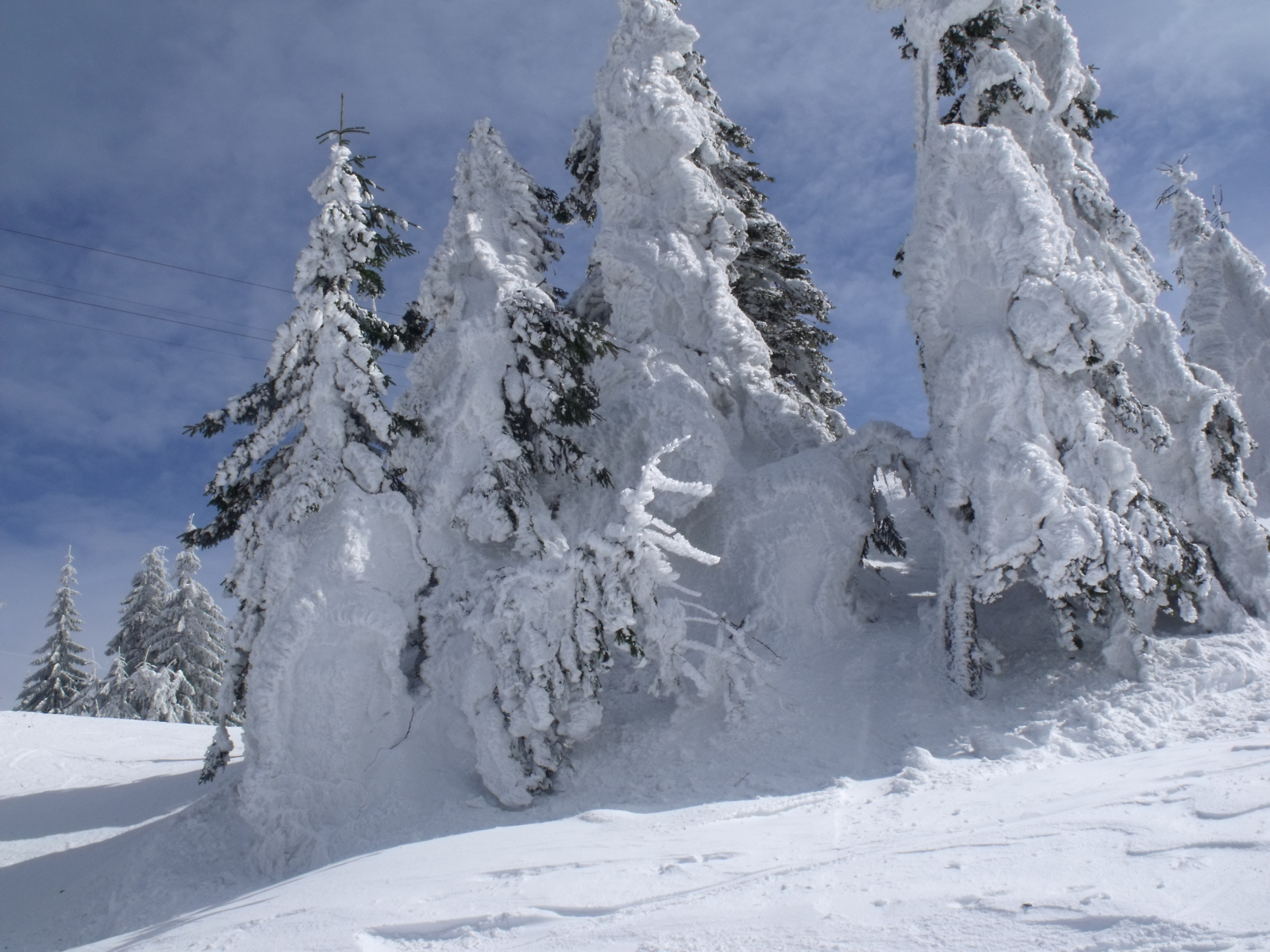 2012 március 16 Brassó Poiana