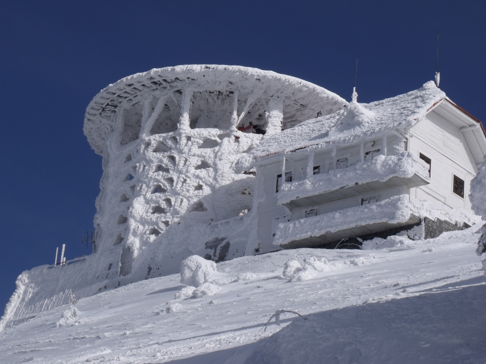 2012. március 16. Brassó Poiana