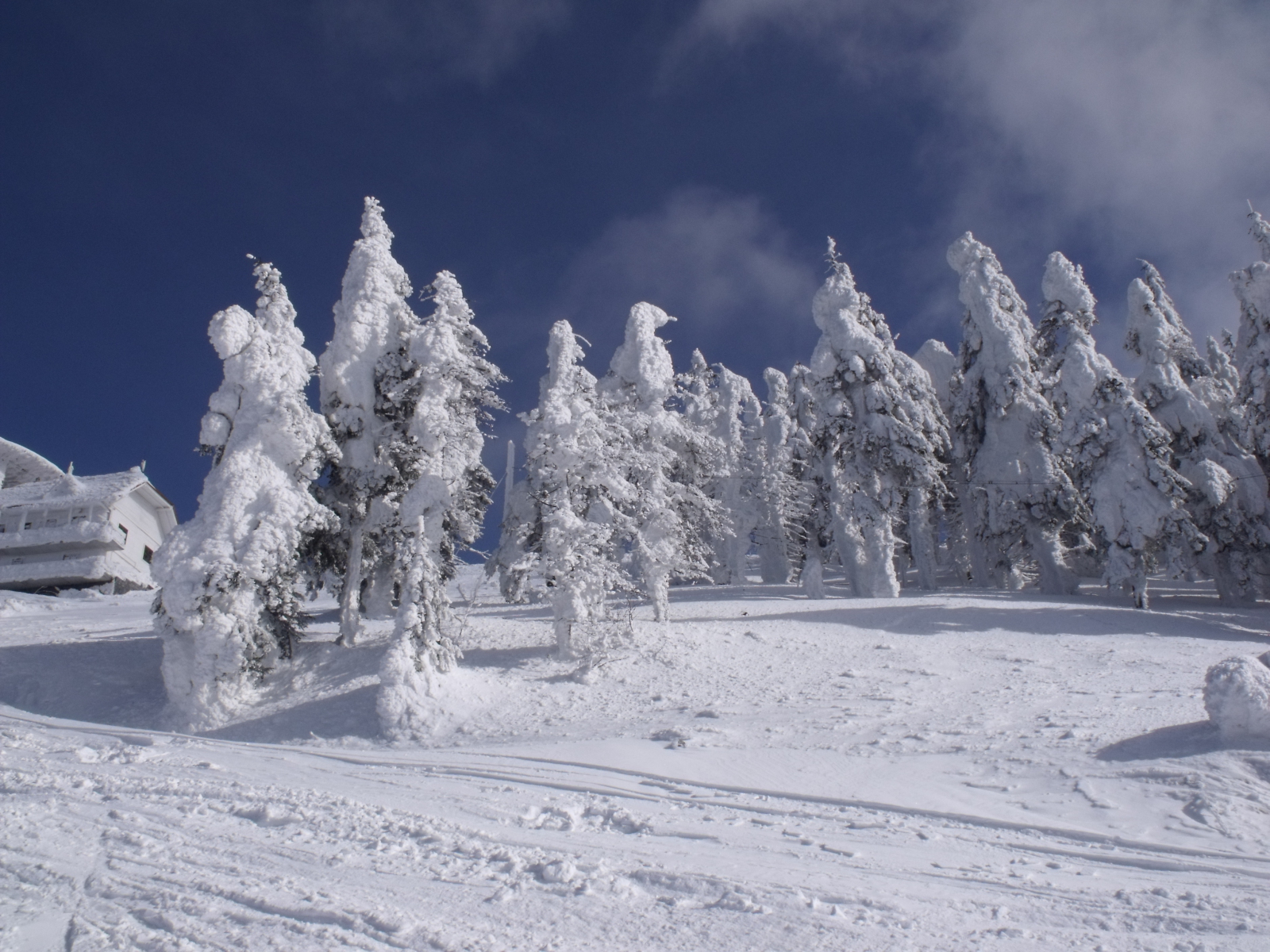2012 március 16 Brassó Poiana