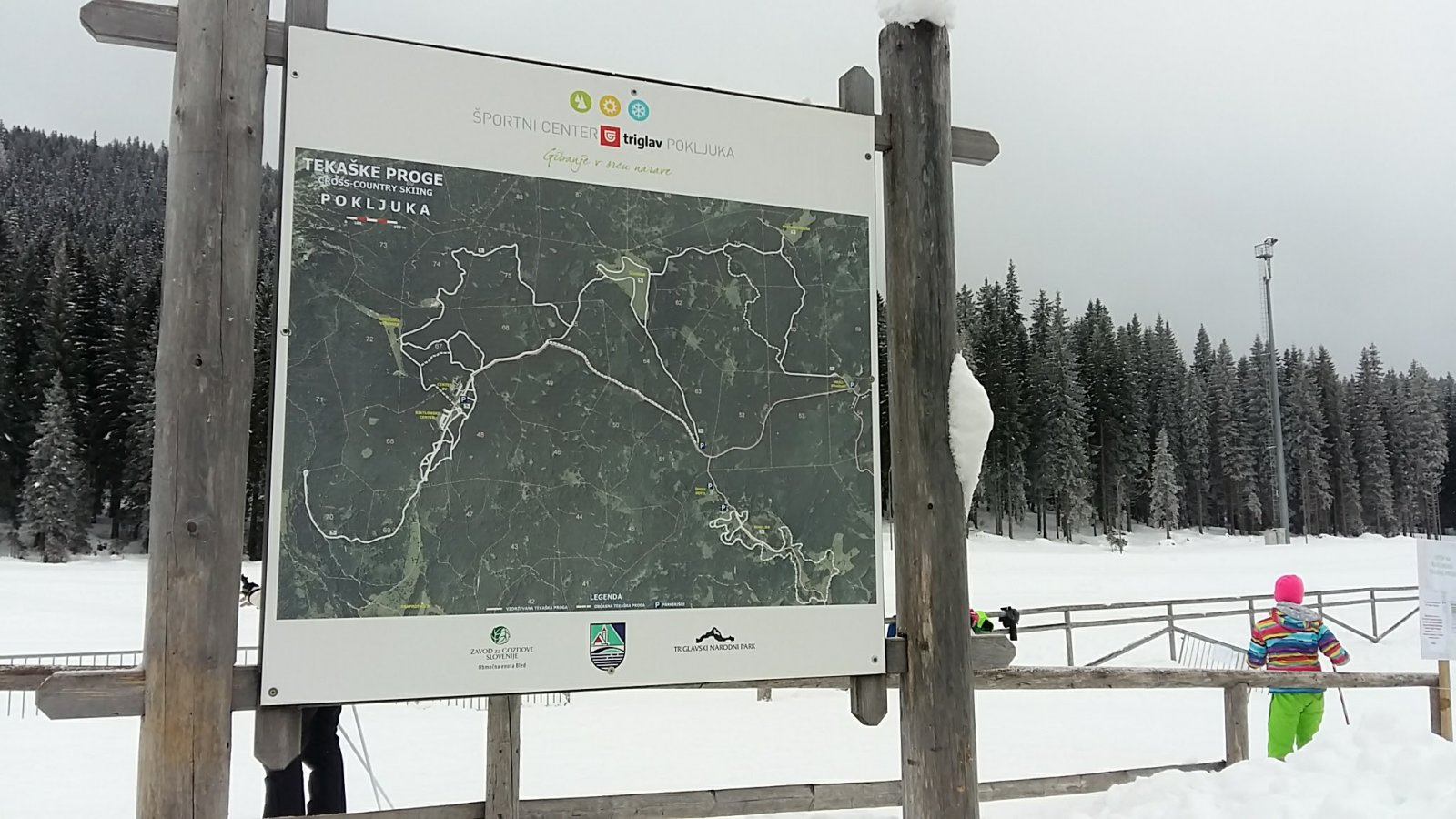 Sífutópályák Pokljukan.