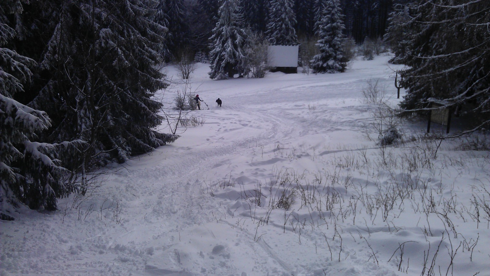 IMAG0170.jpg