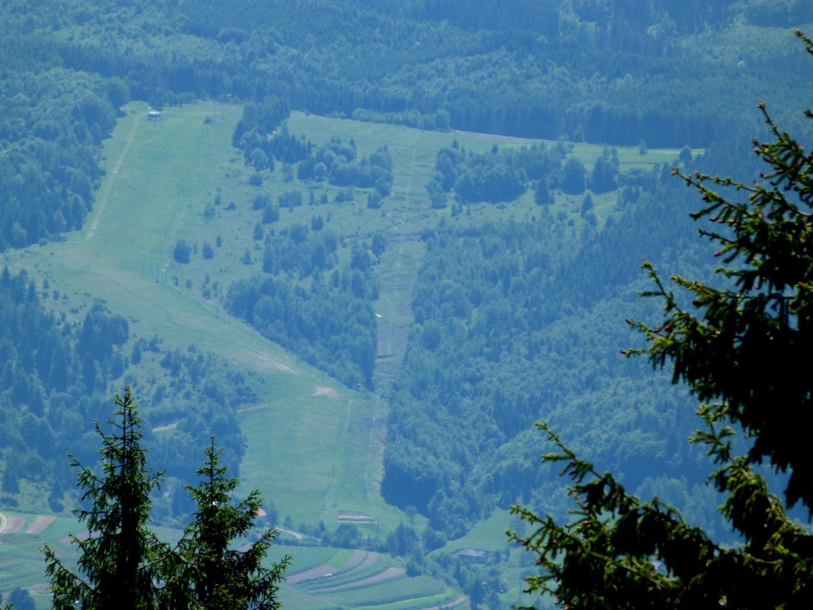 Kosutka várja a telet (és a nyarat is)