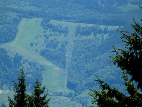 Kosutka várja a telet (és a nyarat is)