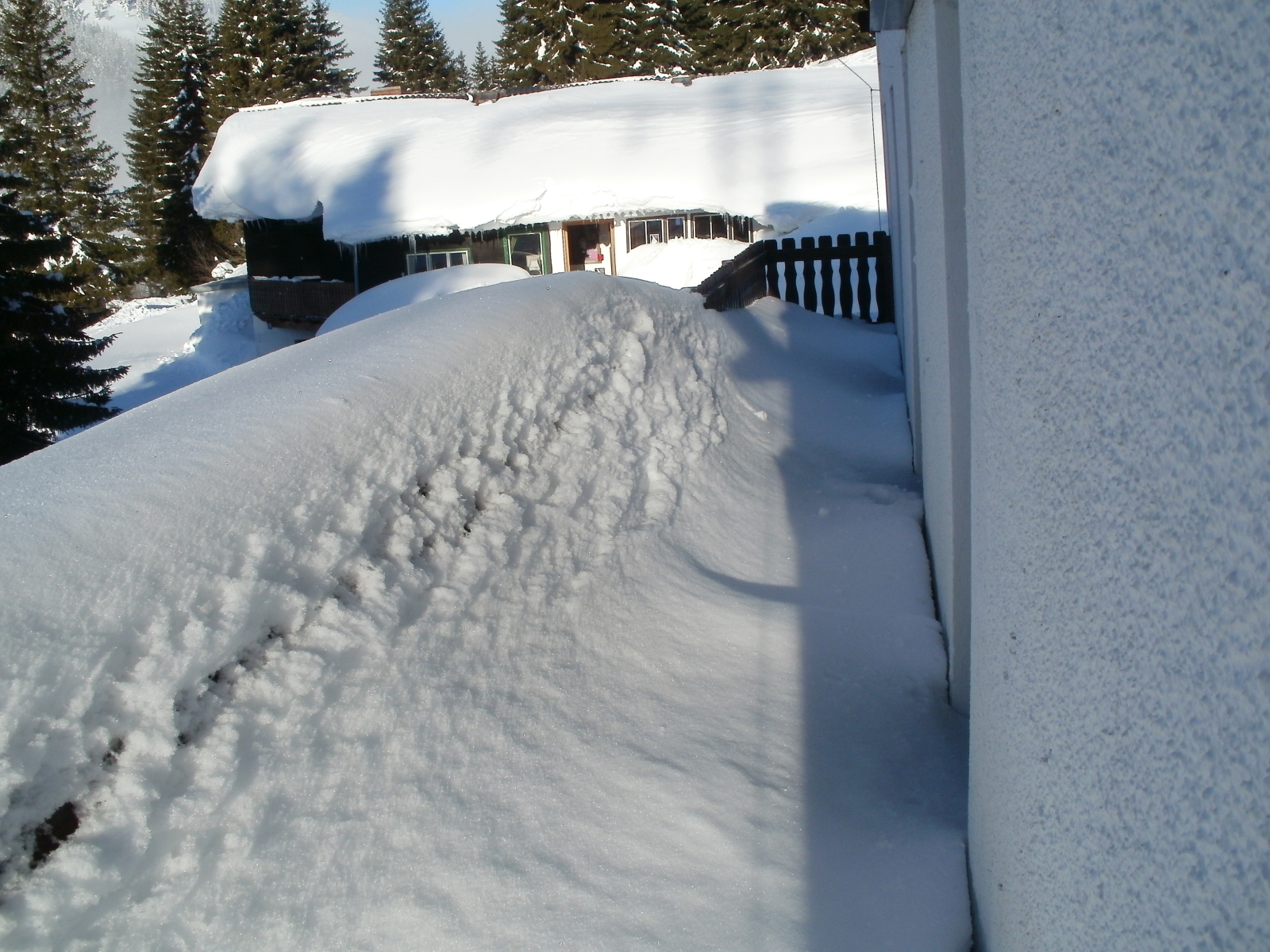 P3010034.JPG