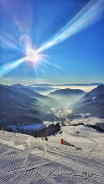 Polster szikrázó napsütésben