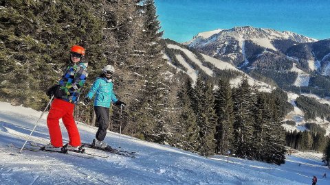 Grübl, sí, szerelem