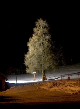 Mint egy köztéri szobor