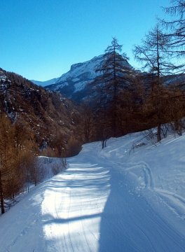 Helyenként keskeny erdei úton