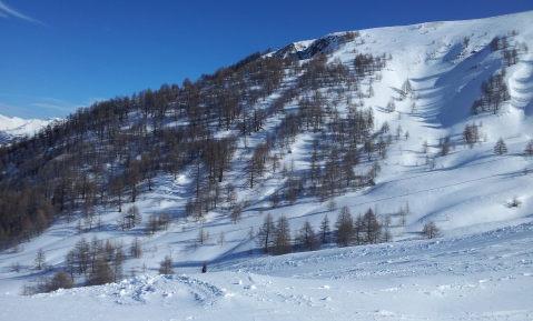 Crous II. alja környékén