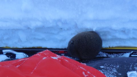 "Civil" a pályán... :)