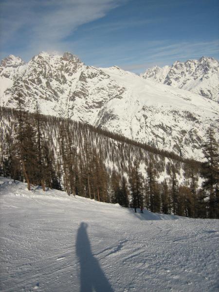 IMG-7687.JPG
