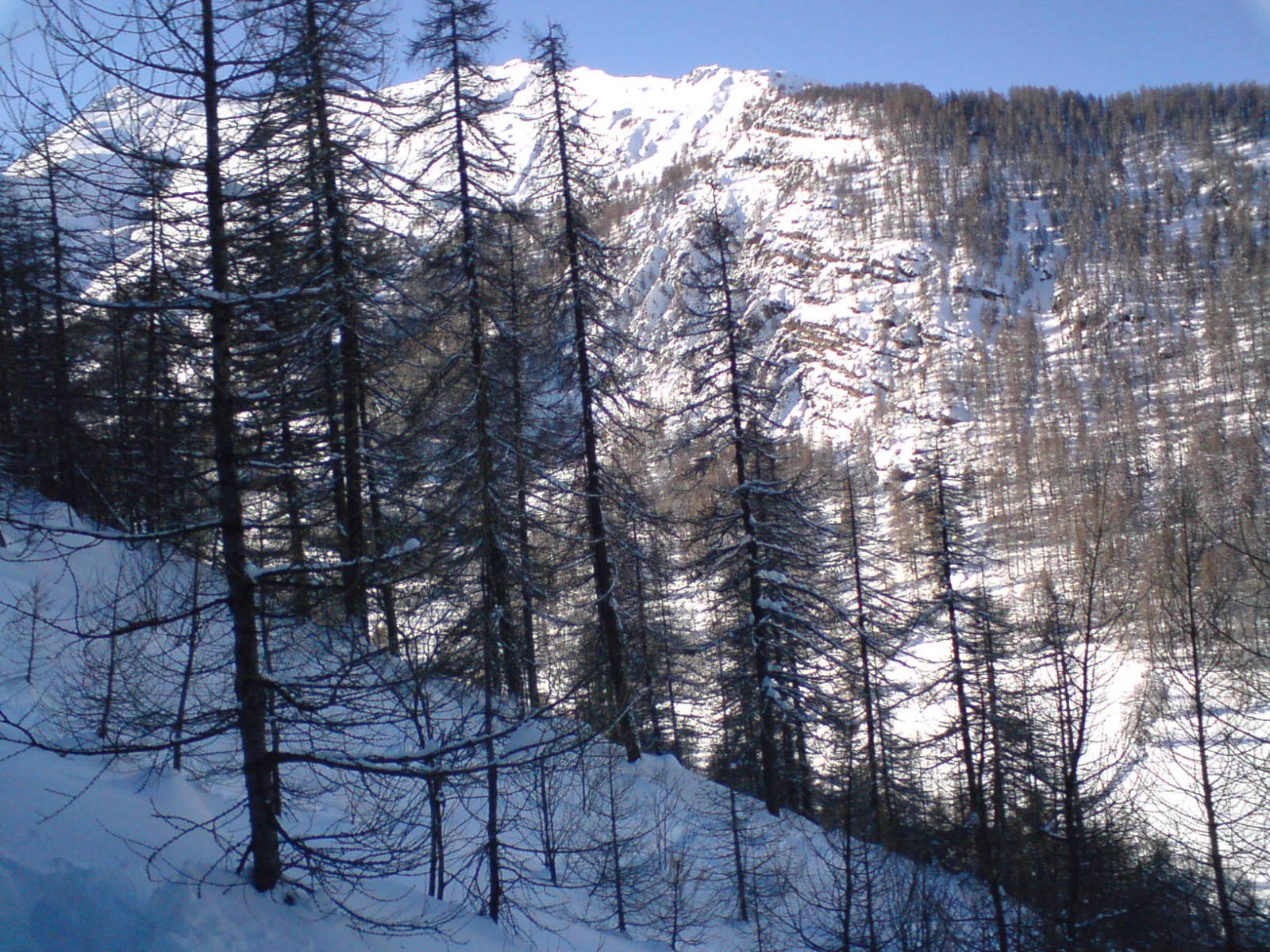 Vallon de Narreyroux