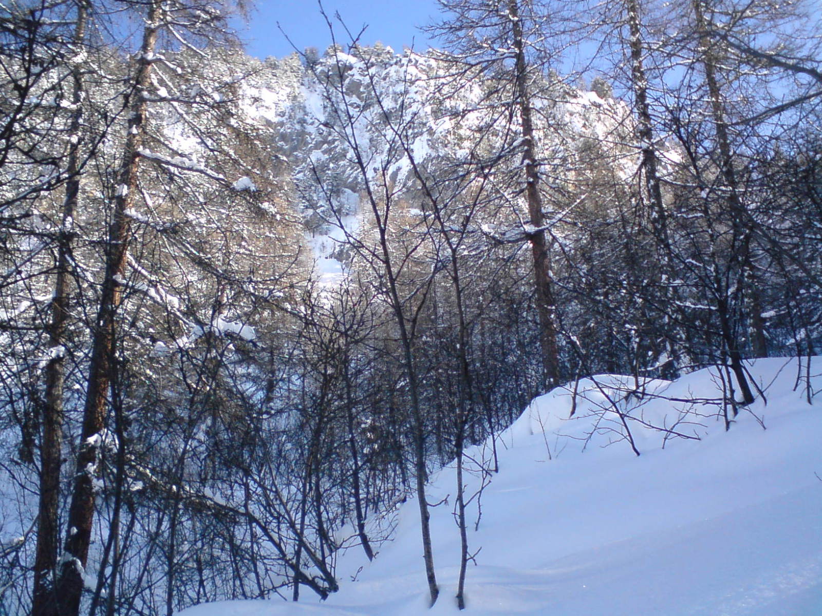 Vallon de Narreyroux