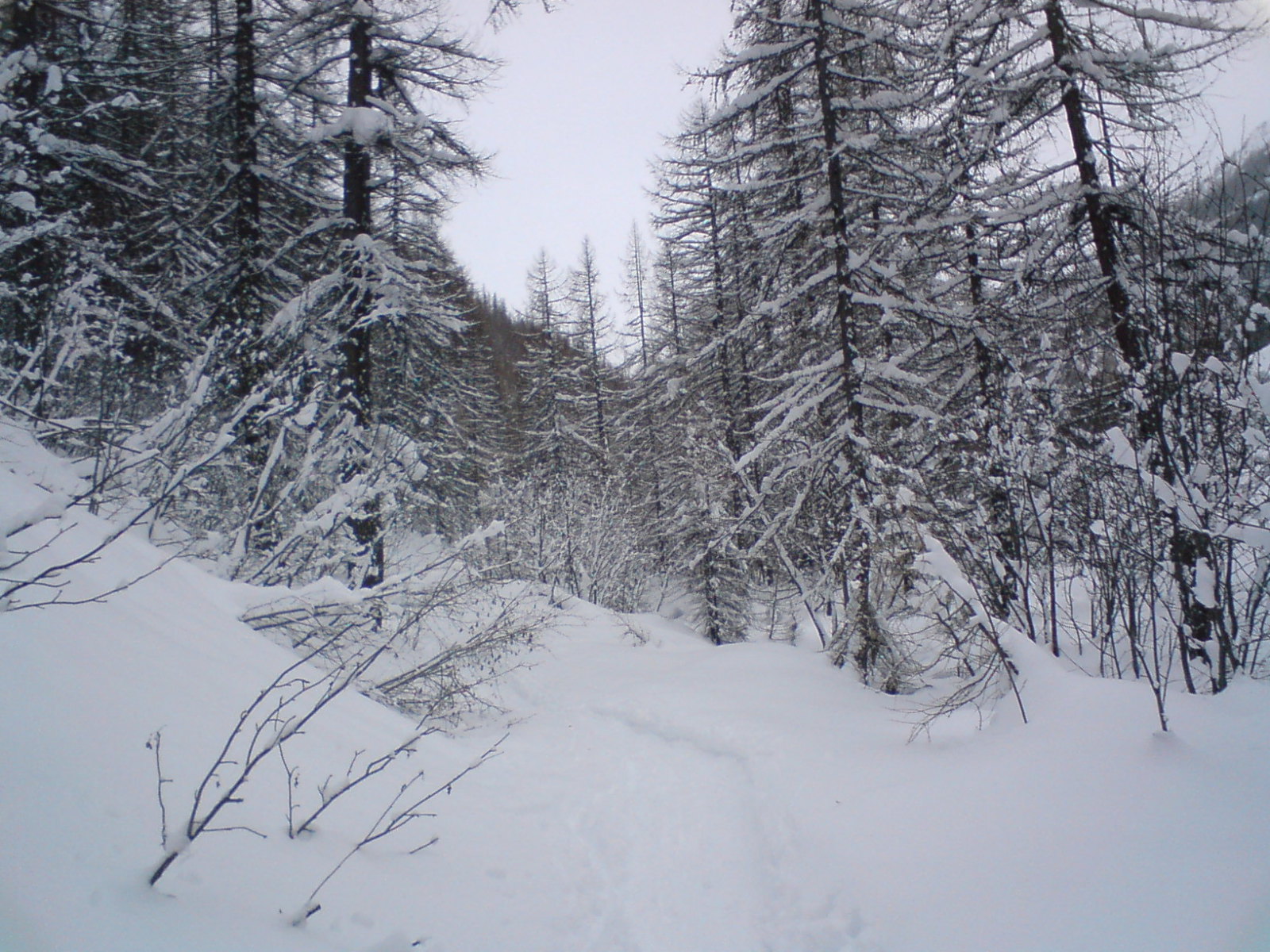 Vallon de Narreyroux, Síút a völgyben